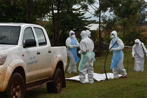 África anuncia novos casos do mortífero vírus de Marburgo, semelhante ao Ebola