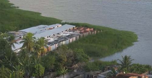 Afundamento do solo faz parte de mangue ser engolido por lagoa no Mutange