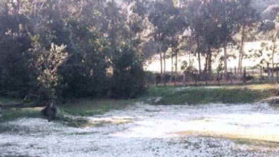 Agosto inicia com temperaturas negativas e geada no RS e SC