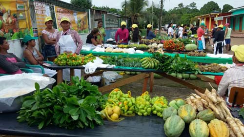 Fetag/AL vai realizar 1ª Feira da Agricultura em Maceió