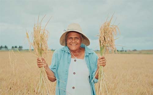 Prazo para inscrição no Programa Garantia-Safra em Alagoas termina em 20 de fevereiro
