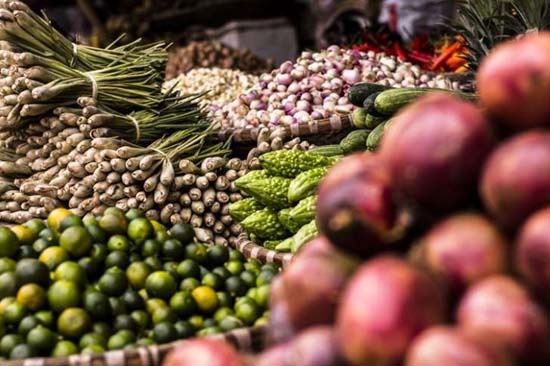 O que é agroecologia