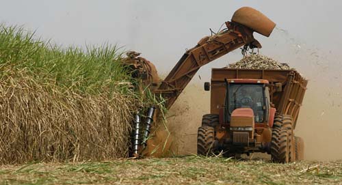 Especialistas: o que falta para que o agronegócio alavanque de fato a economia brasileira?