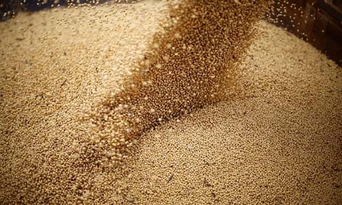 Valor da produção do agro no Nordeste passa de R$ 100 bi