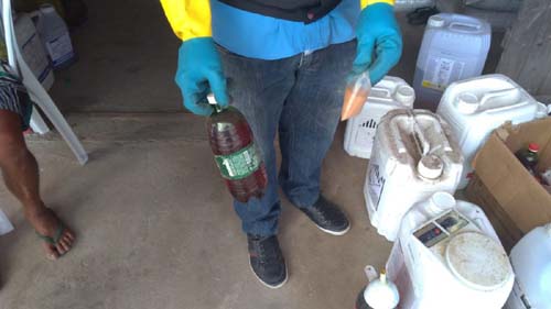 Agrotóxicos são usados indiscriminadamente em Alagoas