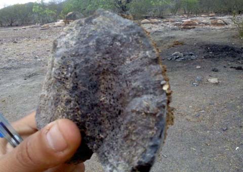 Agricultor encontra fósseis pré históricos na zona rural de Água Branca