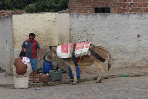Moradores de São José da Laje, AL, reclamam da constante falta de água