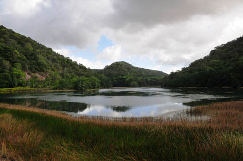 AL amplia em mais de 130% o número de reservas ambientais