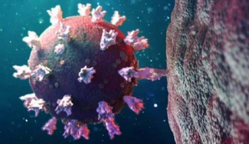 Alagoas registra mais 22 mortes e outros 991 novos casos de Covid-19 neste sábado