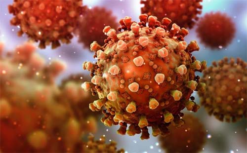 Covid: dois dias sem mortes em Alagoas, porém, com 81 novos casos