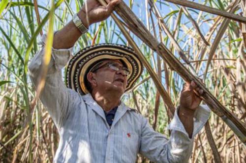Alagoas ocupa 3ª posição entre os estados do NE que mais cresceram em 2019, aponta IBGE