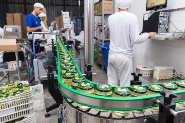 Maceió completa 203 anos com mais de 78 mil empresas ativas