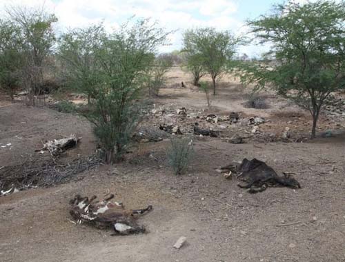 Previsão mostra que seca deve atingir Sertão de Alagoas por mais três meses
