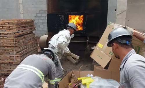 Polícia incinera drogas apreendidas avaliadas em mais de R$ 3,5 milhões