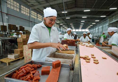 Incentivos concedidos pelo governo geram investimentos de R$ 1,6 bilhão