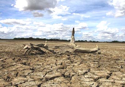 Seca leva governo a decretar situação de emergência nos 27 municípios sertanejos