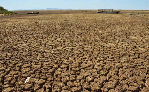 Defesa Civil reconhece situação de emergência em cinco municípios de Alagoas por causa da estiagem