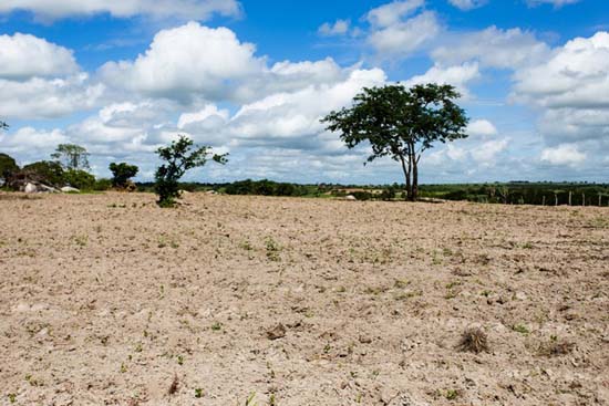 Alagoas tem 38 municípios em situação de emergência por causa da seca