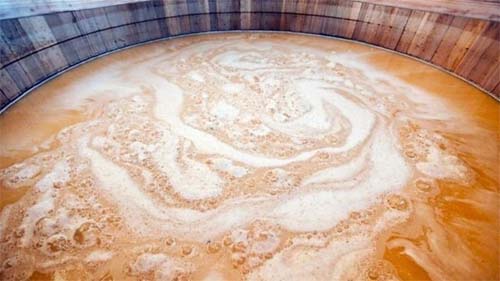 A misteriosa síndrome que deixa pessoas bêbadas com álcool produzido no próprio estômago