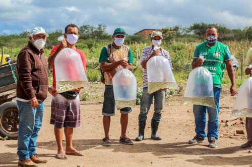 10.000 alevinos entregues aos pequenos produtores rurais em Delmiro Gouveia