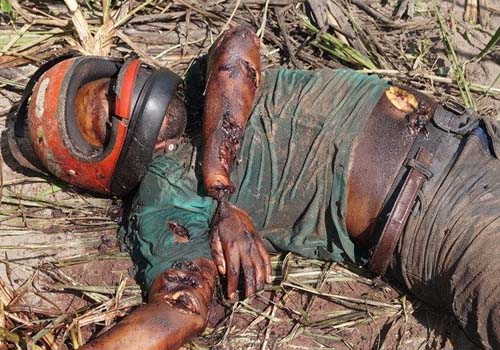 Segurança do clube da Paisa sai para trabalhar e é encontrado morto na zona rural de Penedo 