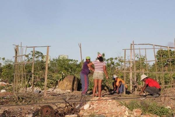 Governos tentam combater 'indústria' da casa própria 