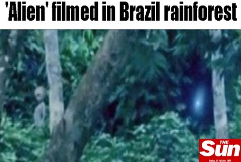 Alien espalha pânico pela Amazônia