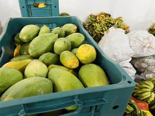 Em menos de 10 dias, 115 toneladas de alimentos foram doadas pelo PAA em Alagoas