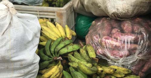 Prefeitura garante mais uma compra de alimentos da agricultura familiar para a merenda escolar