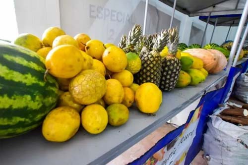 Em Maceió, Emater distribui 16 toneladas de alimentos produzidos pela agricultura familiar