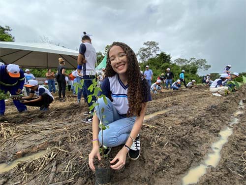 IMA promove plantio de 7 mil mudas e reforça educação ambiental