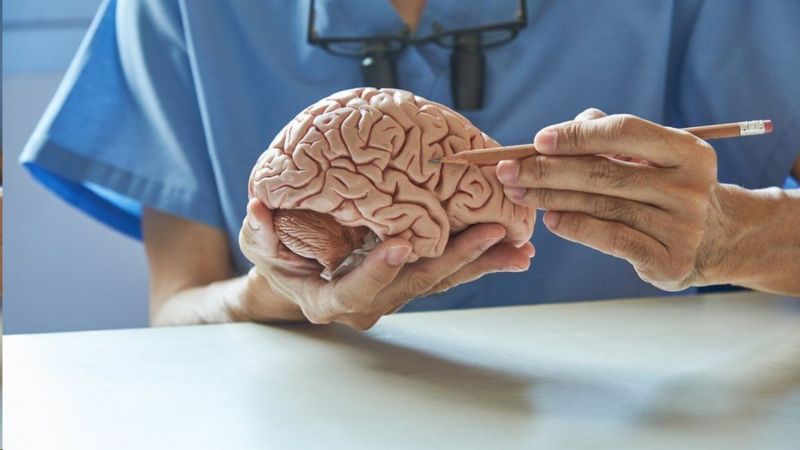 Por que até hoje não há cura para o Mal de Alzheimer, descoberto há 115 anos?