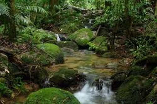 Avião de pequeno porte desaparece no Amazonas; mãe de piloto faz apelo