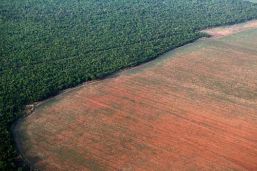 Revisão de critérios do Fundo Amazônia incomoda Noruega e Alemanha, dizem fontes