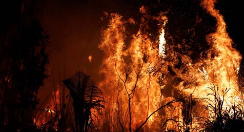 Deputado dos EUA que deseja barrar exportações do Brasil mira em Trump e Bolsonaro, diz analista