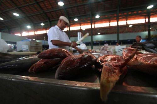 Amazonas vive surto da doença da 