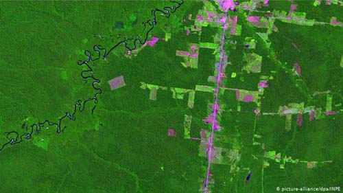 Desmatamento na Amazônia em agosto cresce 222% em relação a 2018