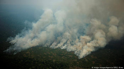A Amazônia é realmente o pulmão do mundo?