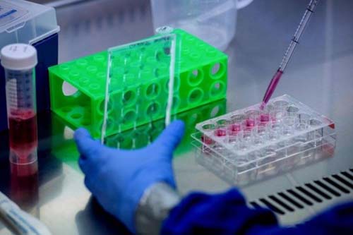 Estudo de 200 cientistas de seis países apresenta pontos fracos do coronavírus