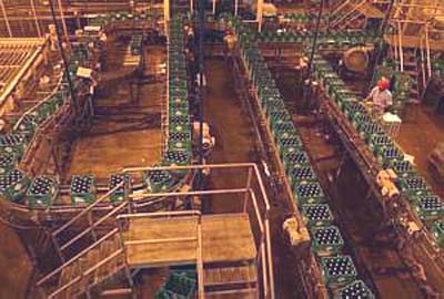 Ambev vai investir R$ 804 milhões no Nordeste até o fim do ano