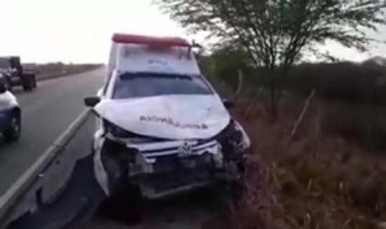 Ambulância de Major Izidoro colide com animal em trecho da AL 220