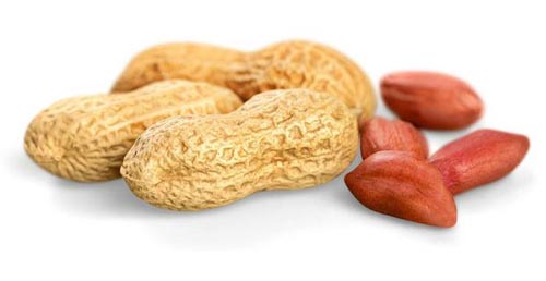 Novo Estudo Evidencia a Importância de Amendoins para a Diabetes 