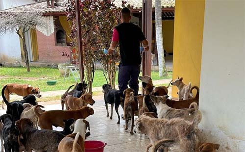 Polícia já indiciou 50 pessoas por maus-tratos a animais