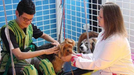 Terapia com animais ajuda a tratar transtornos psicológicos