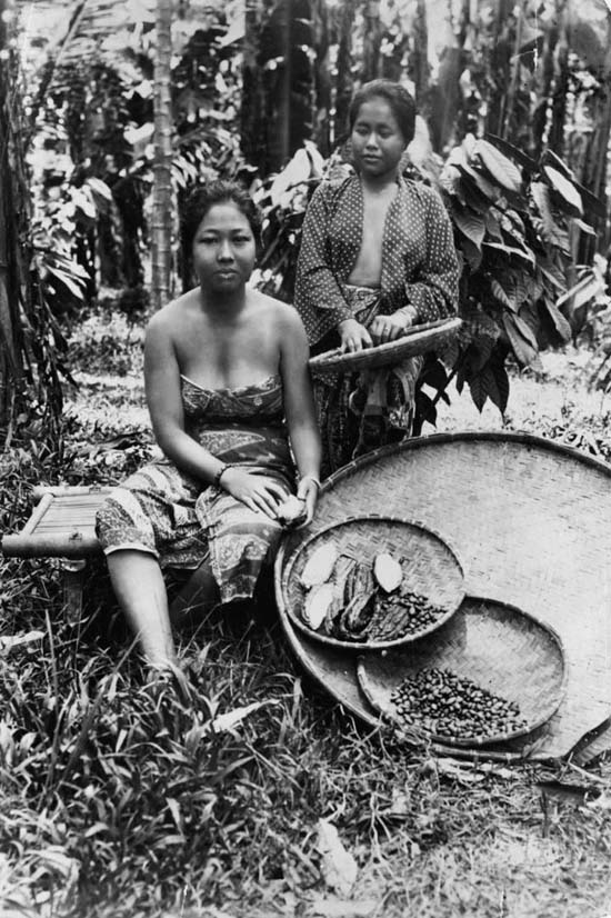 Os 40 anos dourados da cocaína legal