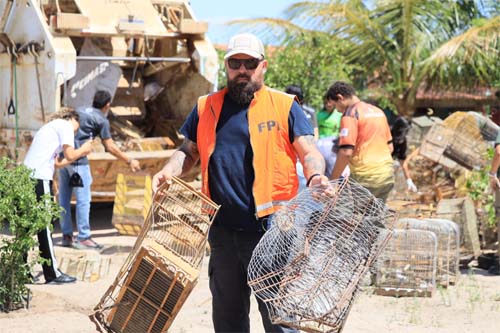 Fiscalização apreende e destrói 600 gaiolas no interior de Alagoas
