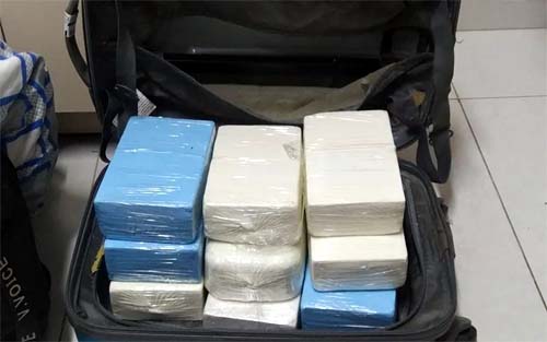 Mala com mais de 11 kg de cocaína é apreendida em ônibus interestadual, com ajuda de cão farejador da PM/AL