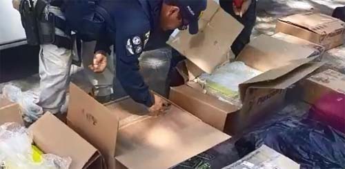 Mulher é presa com mais de 200 kg de maconha em ônibus na BR 101, em São Sebastião