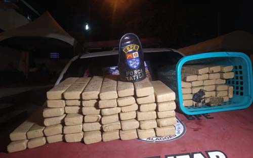 Polícia apreende 70kg de maconha em grota no bairro do Feitosa, em Maceió