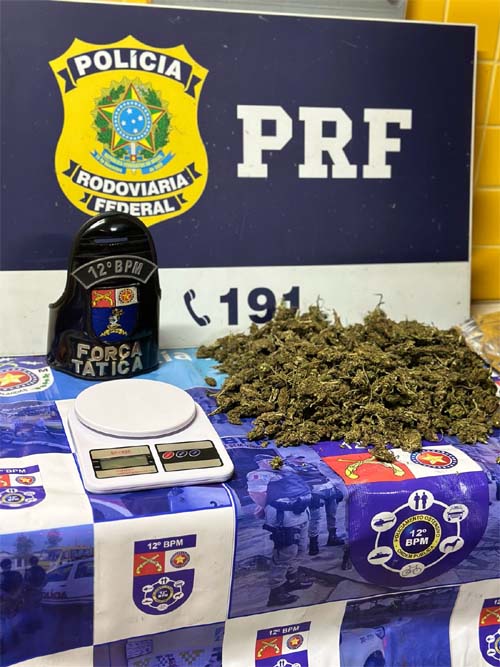 PM apreende 29 armas de fogo e 14 kg de drogas em operações realizadas durante a semana em Alagoas